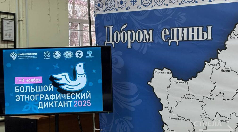 В «Брянсккниге» этнографический диктант написали волонтеры и общественники