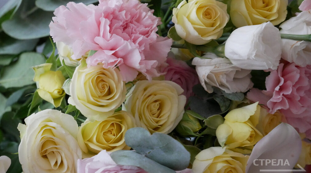 Губернатор Александр Богомаз поздравил двух жителей Брянщины с высокими наградами