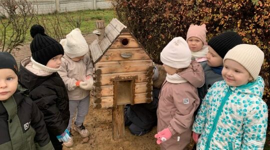 Для воспитанников Дубровского детского сада №4 прошли мероприятия, посвященные Синичкиному Дню