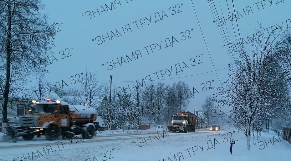 В Дубровском районе устраняют последствия снегопада