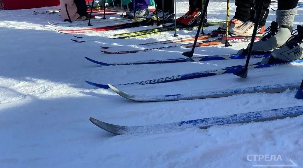 Жители Брянщины могут зарегистрироваться для участия в «Лыжне России-2026»