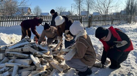 Активисты Движения первых оказали помощь приюту для животных