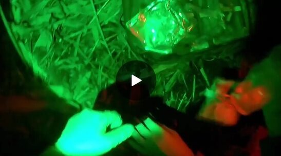 Примение лиофилизированной плазмы из Брянска на фронте