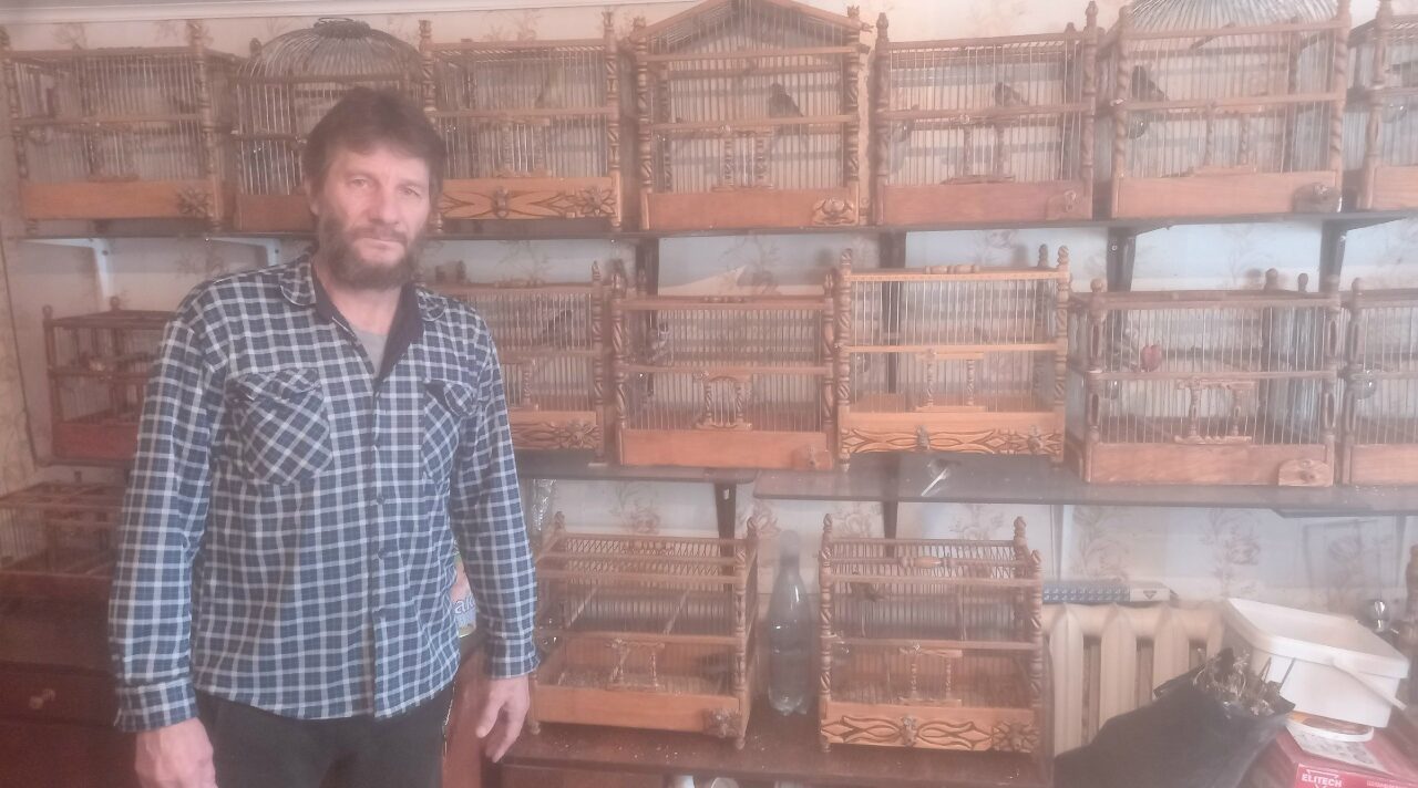 Лесная симфония в стенах дома