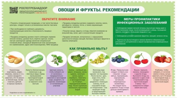 Роспотребнадзор контролирует качество плодоовощной продукции