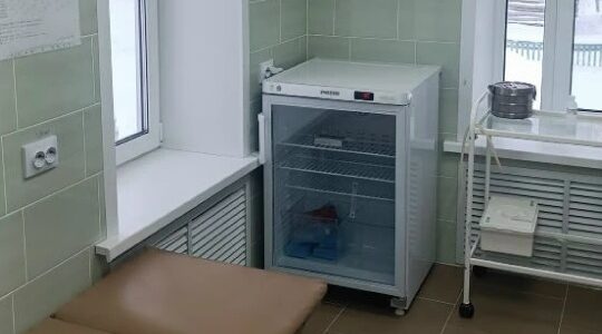 Капитальный ремонт Дегтяревского фельдшерско-акушерского пункта в Брянской области