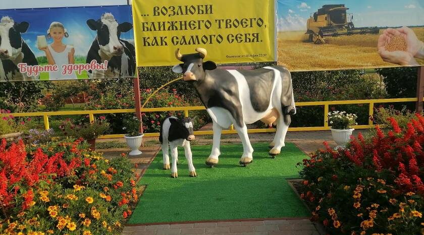 СПК «Зимницкий»: Четверть века процветания под мудрым руководством А.В. Гусарова