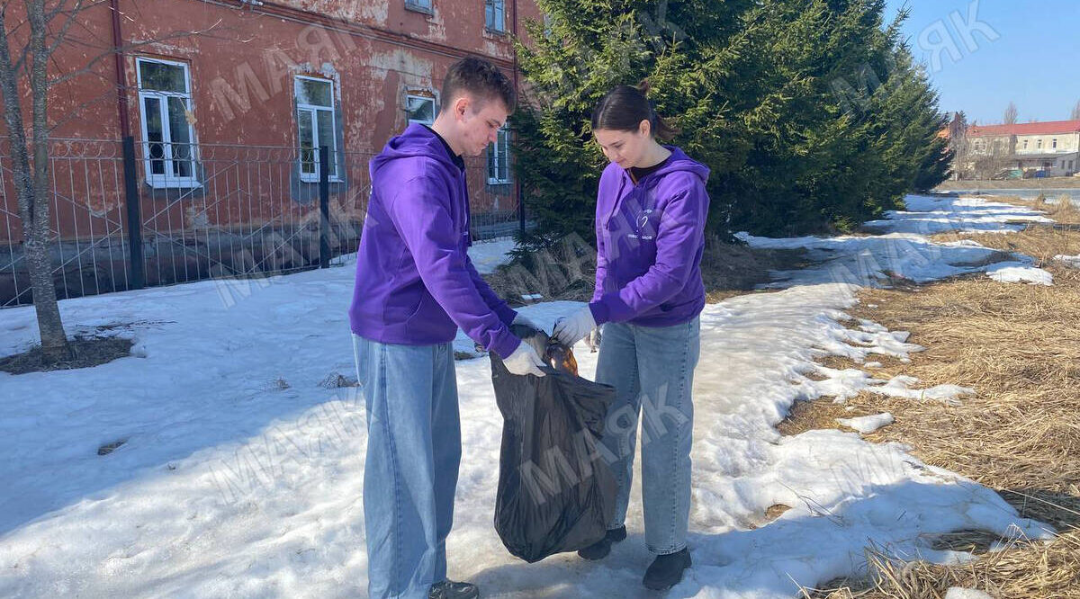 В Брянской области начали массово наводить чистоту
