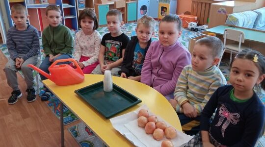 В Дубровском детском саду № 4 проходит обучение детей через наблюдение и анализ