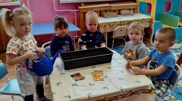 Воспитанники Дубровского детского сада № 4 выращивают овощи и цветы