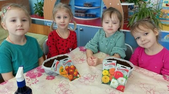 Воспитанники Дубровского детского сада № 4 посеяли весеннюю рассаду