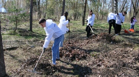 Волонтеры культуры Брянщины помогают сохранять исторический мемориал Дулаг-142