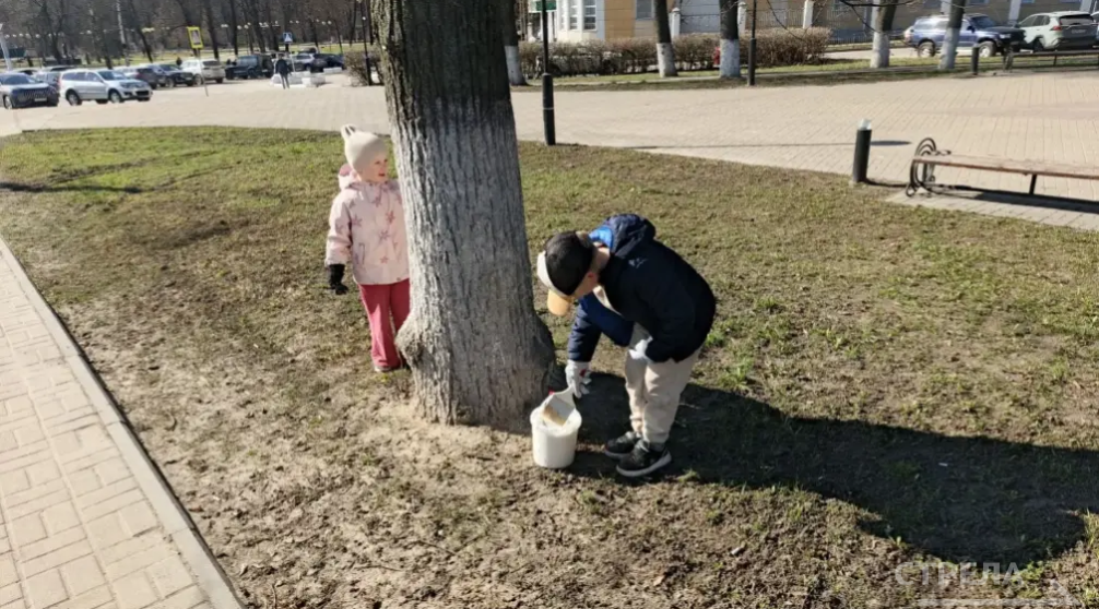 Брянск преобразился благодаря активным жителям города