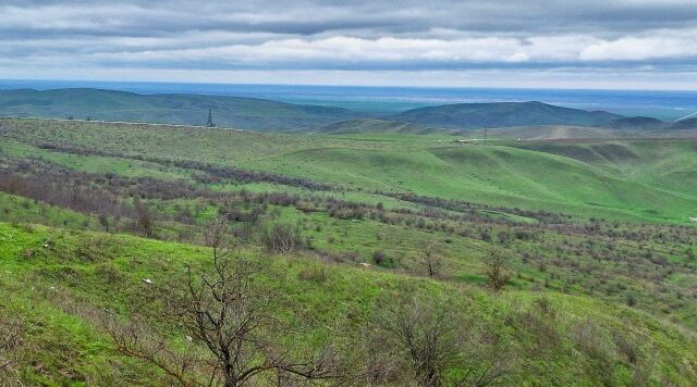 Брянская станция переливания крови обеспечила военный госпиталь