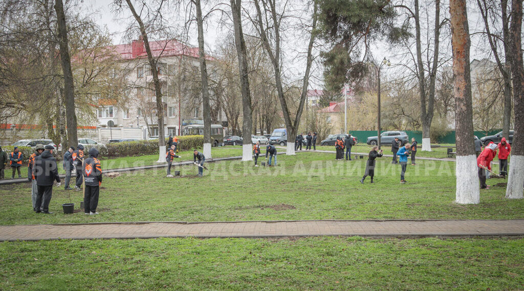 В Брянске в сквере Памяти трагедии в Чернобыле посадили 15 клёнов