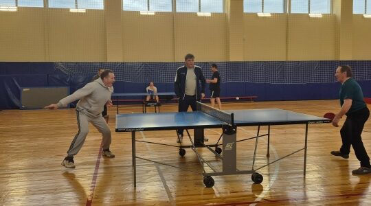 В Дубровке состоялось первенство района по настольному теннису