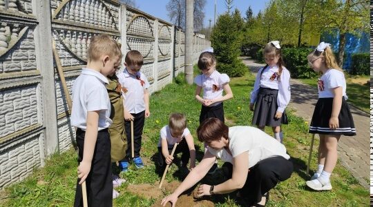 Воспитанники Дубровского детского сада №4 приняли участие в акции «Сад памяти»