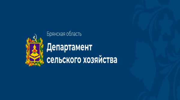 Программа поддержки молодых специалистов и квалифицированных рабочих в агропромышленном комплексе Брянской области