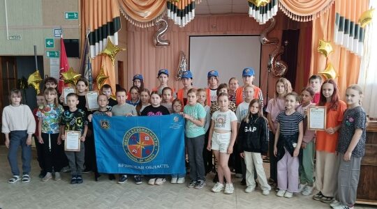 Профилактика безопасности дорожного движения в Дубровской № 1 СОШ