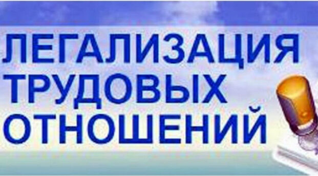 Противодействие теневой занятости в 2026 году: новые правила и ответственность
