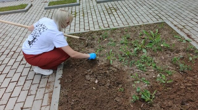 Молодёжь Дубровского района благоустраивает памятные места
