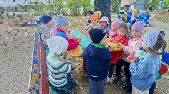Праздник Трёх Великих Спасов в Дубровской детской библиотеке