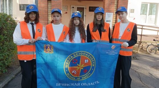 В Дубровской № 1 СОШ прошёл рейд по безопасности пешеходов